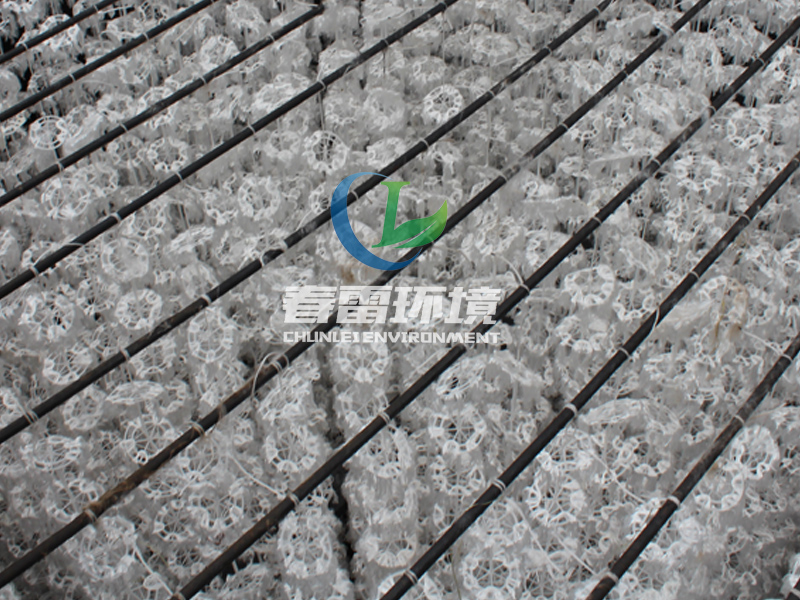 好色先生丝瓜滲濾液處理公司簡述好色先生丝瓜滲濾液具體從何而來